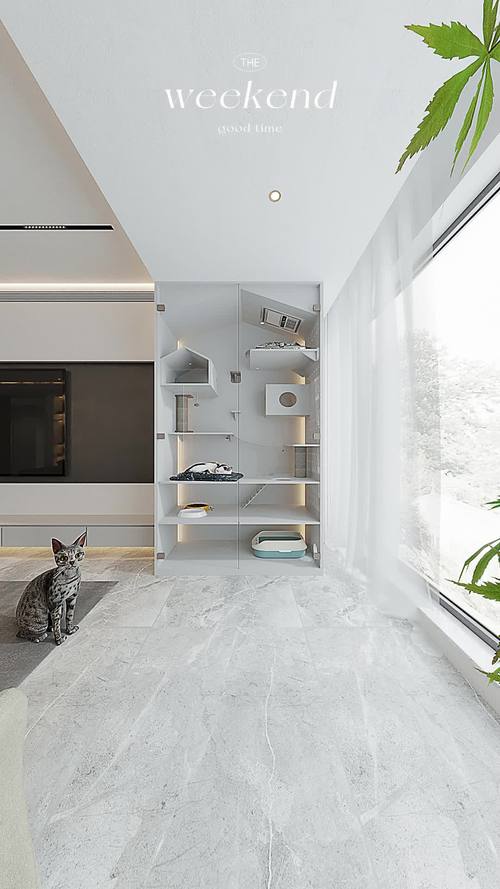 打造理想家园,宠物猫网站设计指南 百度SEO 打造理想家园,宠物猫网站设计指南 打造理想家园,宠物猫网站设计指南 百度SEO