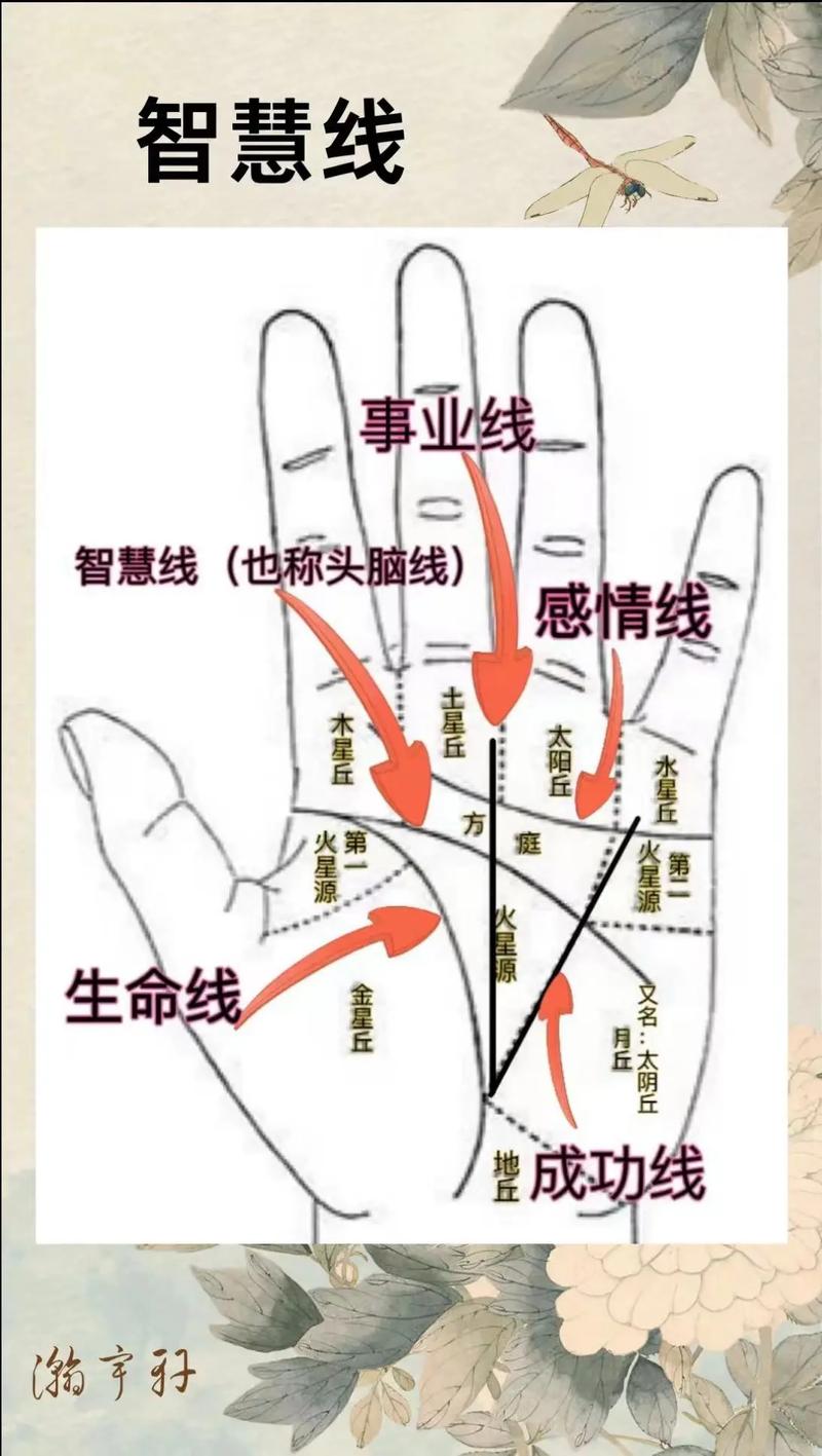 探寻“m04”程序代码背后的智慧之光 探寻“m04”程序代码背后的智慧之光 必应SEO