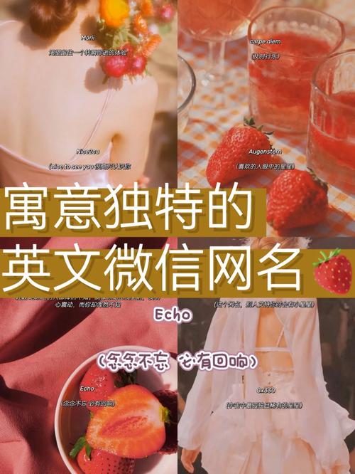 探寻“程序代码”背后的网名艺术,数字世界的独特印记 探寻“程序代码”背后的网名艺术,数字世界的独特印记 必应SEO