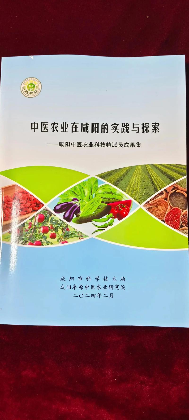 推广网站,投资多少钱才能收获硕果累累 神马SEO 推广网站,投资多少钱才能收获硕果累累 推广网站,投资多少钱才能收获硕果累累 神马SEO