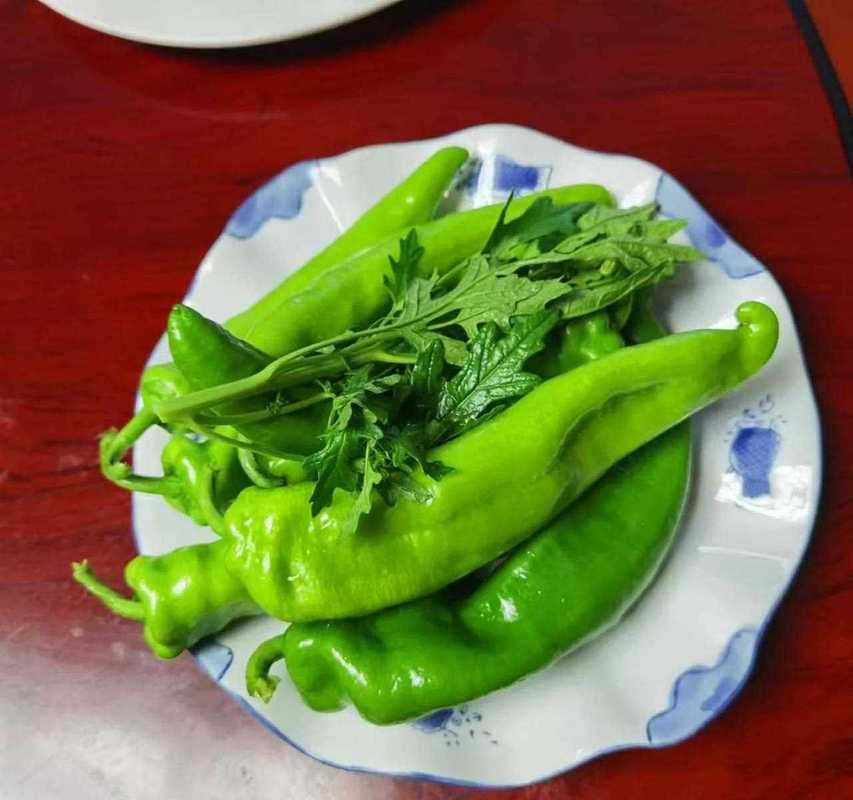 敖汉旗,绿色崛起的生态典范 神马SEO 敖汉旗,绿色崛起的生态典范 敖汉旗,绿色崛起的生态典范 神马SEO