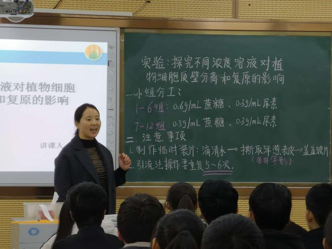 教学设计网站助力教师专业成长,构建高效课堂的得力助手 网站建设公司 教学设计网站助力教师专业成长,构建高效课堂的得力助手 教学设计网站助力教师专业成长,构建高效课堂的得力助手 网站建设公司