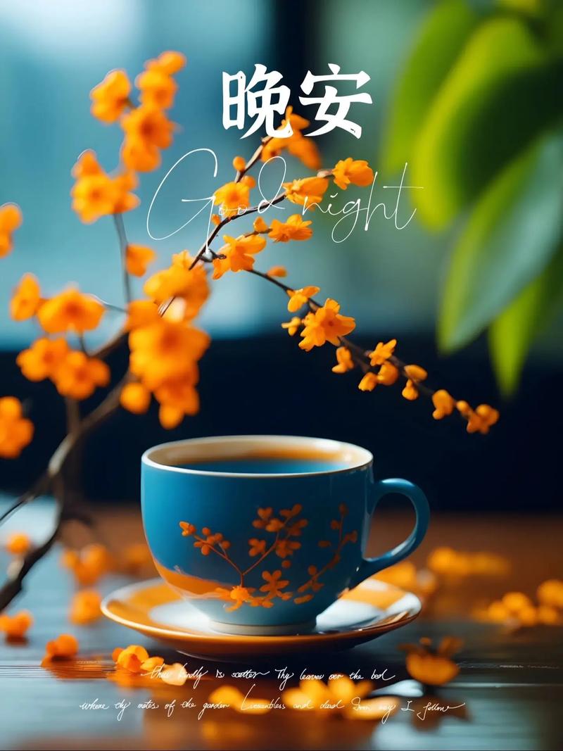 晚安小程序,科技温暖心灵的夜晚守护者 晚安小程序,科技温暖心灵的夜晚守护者 神马SEO