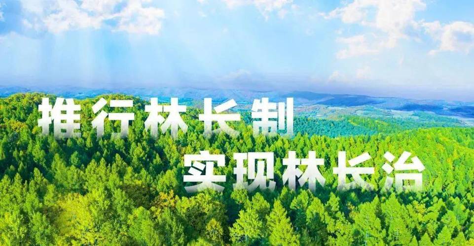 林口县,生态宜居，绿色发展，打造现代化美好家园 林口县,生态宜居，绿色发展，打造现代化美好家园 必应SEO