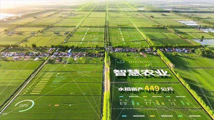 果园设计师,打造绿色生态,引领未来农业发展 百度SEO 果园设计师,打造绿色生态,引领未来农业发展 果园设计师,打造绿色生态,引领未来农业发展 百度SEO