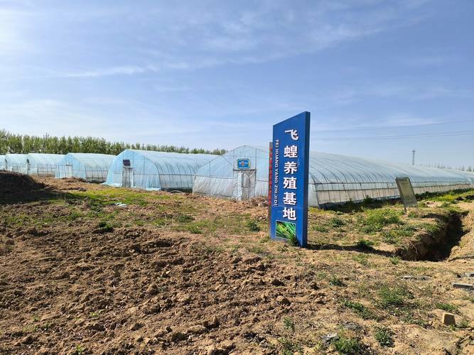 柴胡店网站,打造区域电商新标杆,助力乡村振兴新篇章 必应SEO 柴胡店网站,打造区域电商新标杆,助力乡村振兴新篇章 柴胡店网站,打造区域电商新标杆,助力乡村振兴新篇章 必应SEO
