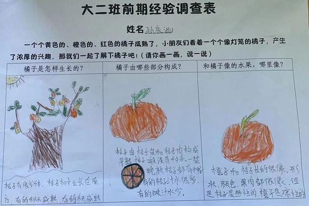橘色的世界,探寻橘子的色彩奥秘与魅力 网站建设公司 橘色的世界,探寻橘子的色彩奥秘与魅力 橘色的世界,探寻橘子的色彩奥秘与魅力 网站建设公司