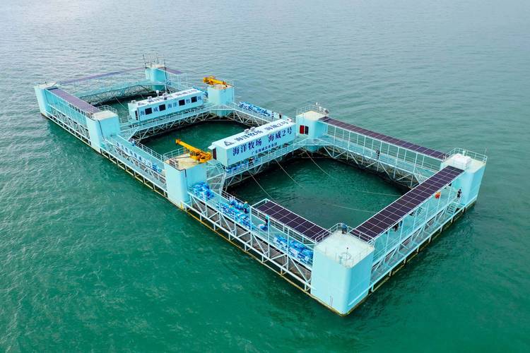海网站,构建海洋信息共享平台,助力海洋事业发展 必应SEO 海网站,构建海洋信息共享平台,助力海洋事业发展 海网站,构建海洋信息共享平台,助力海洋事业发展 必应SEO