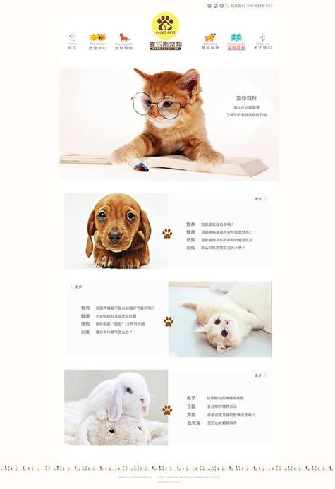 狗网站,互联网时代的宠物乐园 SEO关键词 狗网站,互联网时代的宠物乐园 狗网站,互联网时代的宠物乐园 SEO关键词