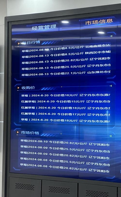 猪九戒网站,创新科技助力农产品上行,赋能乡村振兴新篇章 必应SEO 猪九戒网站,创新科技助力农产品上行,赋能乡村振兴新篇章 猪九戒网站,创新科技助力农产品上行,赋能乡村振兴新篇章 必应SEO