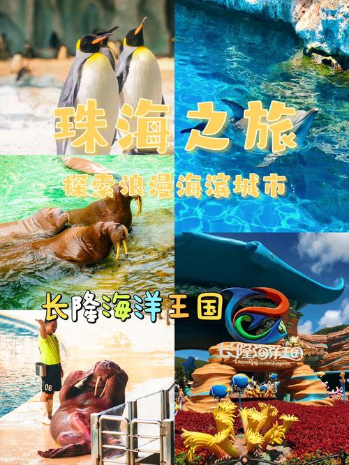 珠海网站,探索这座海滨城市的数字窗口 神马SEO 珠海网站,探索这座海滨城市的数字窗口 珠海网站,探索这座海滨城市的数字窗口 神马SEO