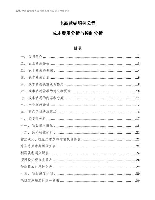 电商网站成本分析,介绍电商运营背后的经济秘密 SEO关键词 电商网站成本分析,介绍电商运营背后的经济秘密 电商网站成本分析,介绍电商运营背后的经济秘密 SEO关键词