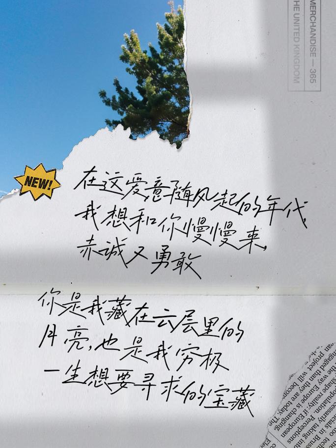 程序代码下的爱意表白,用代码谱写爱的诗篇 搜狗SEO 程序代码下的爱意表白,用代码谱写爱的诗篇 程序代码下的爱意表白,用代码谱写爱的诗篇 搜狗SEO