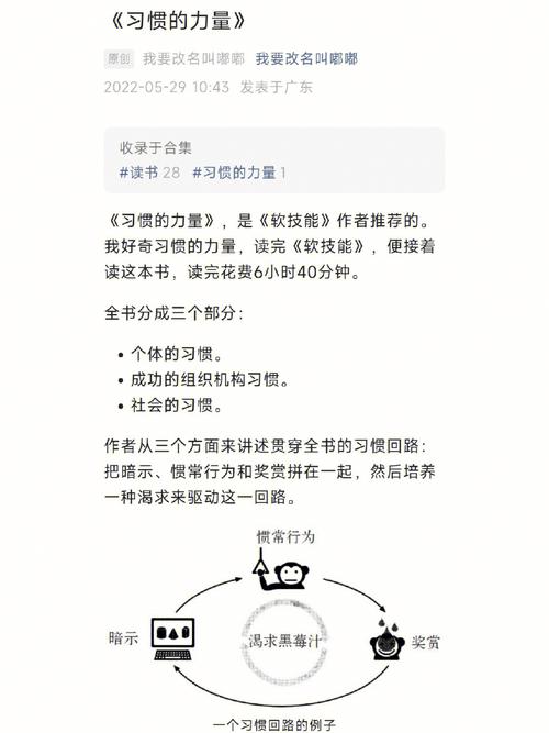 程序代码的力量,解码未来科技之光 网站建设公司 程序代码的力量,解码未来科技之光 程序代码的力量,解码未来科技之光 网站建设公司