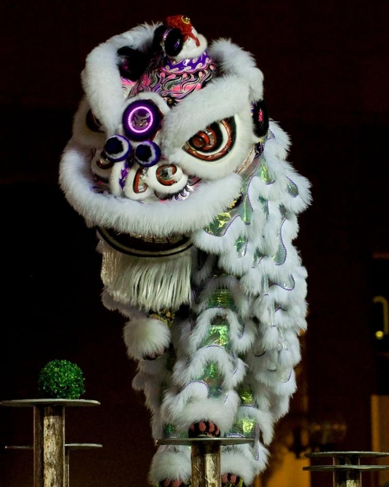 舞狮设计网站,传承与创新交织的艺术殿堂 舞狮设计网站,传承与创新交织的艺术殿堂 网站建设公司