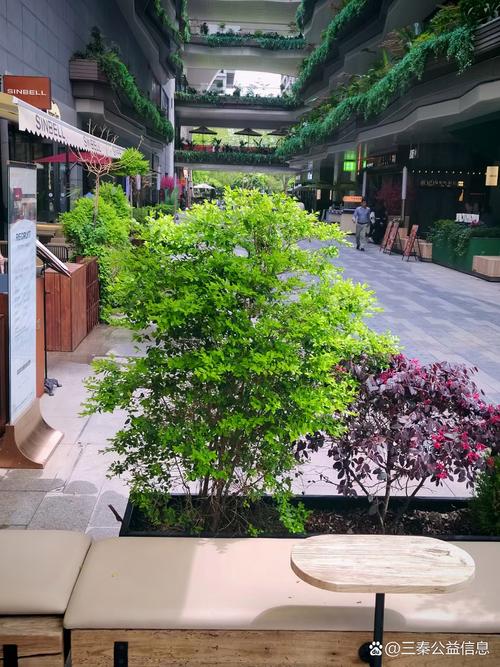 芙蓉区,繁华都市中的绿色明珠 搜狗SEO 芙蓉区,繁华都市中的绿色明珠 芙蓉区,繁华都市中的绿色明珠 搜狗SEO