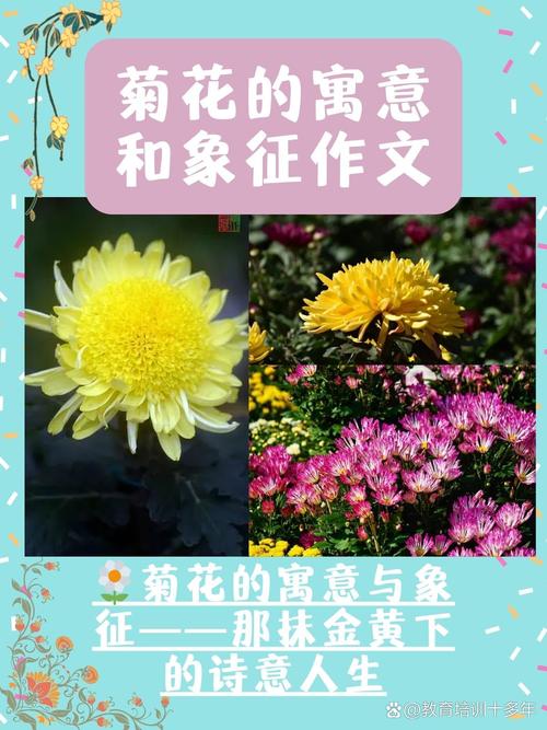 花丛中的秘密_探寻头埋其间的诗意人生 必应SEO 花丛中的秘密_探寻头埋其间的诗意人生 花丛中的秘密_探寻头埋其间的诗意人生 必应SEO