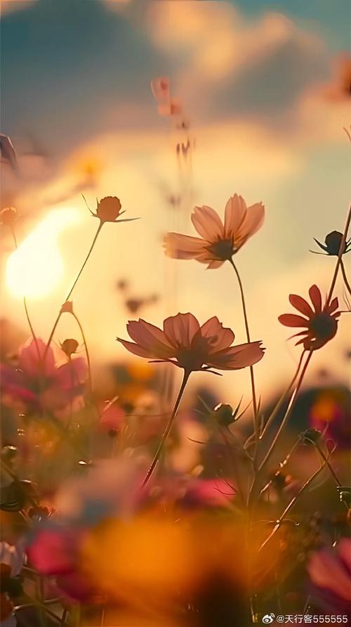 芳草萋萋芳草地,自然之美与人生感悟 搜狗SEO 芳草萋萋芳草地,自然之美与人生感悟 芳草萋萋芳草地,自然之美与人生感悟 搜狗SEO