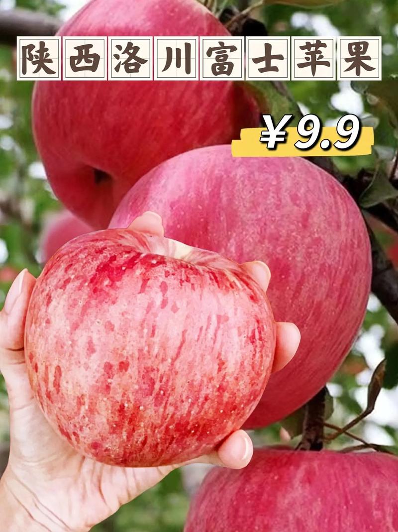 苹果8程序代码分析,介绍科技巨头的技术奥秘 必应SEO 苹果8程序代码分析,介绍科技巨头的技术奥秘 苹果8程序代码分析,介绍科技巨头的技术奥秘 必应SEO