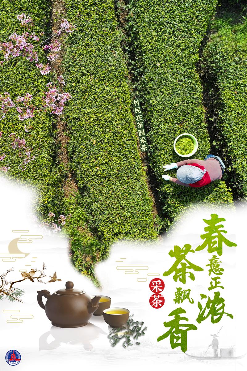 茶海报设计,传承茶文化,绽放视觉盛宴 必应SEO 茶海报设计,传承茶文化,绽放视觉盛宴 茶海报设计,传承茶文化,绽放视觉盛宴 必应SEO