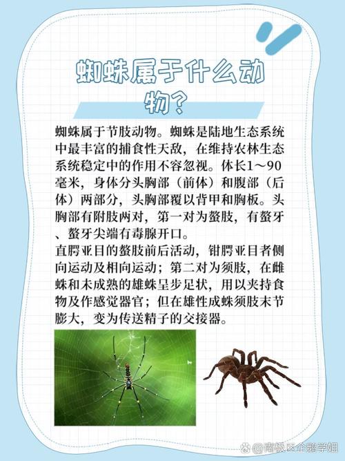 蜘蛛不抓取,介绍搜索引擎优化中的隐藏规则 网站建设公司 蜘蛛不抓取,介绍搜索引擎优化中的隐藏规则 蜘蛛不抓取,介绍搜索引擎优化中的隐藏规则 网站建设公司
