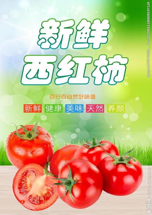 西红柿设计,引领网站设计的潮流先锋 SEO关键词 西红柿设计,引领网站设计的潮流先锋 西红柿设计,引领网站设计的潮流先锋 SEO关键词