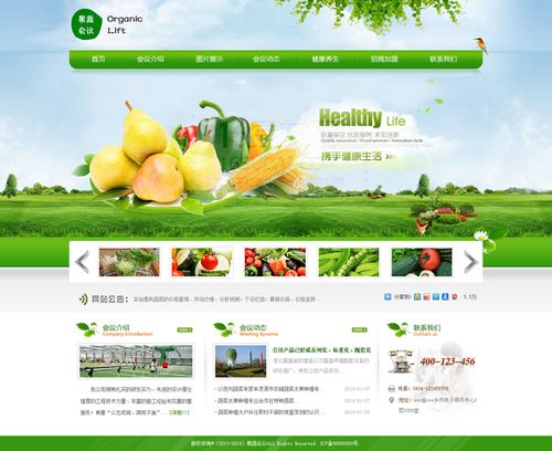 设计果蔬网,打造绿色健康生活新平台 必应SEO 设计果蔬网,打造绿色健康生活新平台 设计果蔬网,打造绿色健康生活新平台 必应SEO