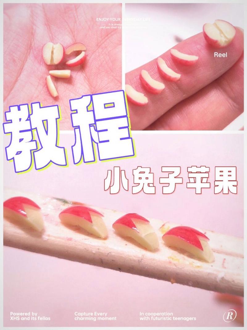 详细分析兔网站设计教程,打造个性化网站的最佳方法 详细分析兔网站设计教程,打造个性化网站的最佳方法 搜狗SEO