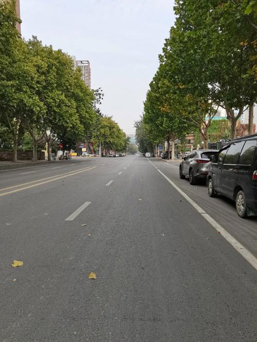 金水区,郑州繁华之源,智慧城市典范 必应SEO 金水区,郑州繁华之源,智慧城市典范 金水区,郑州繁华之源,智慧城市典范 必应SEO
