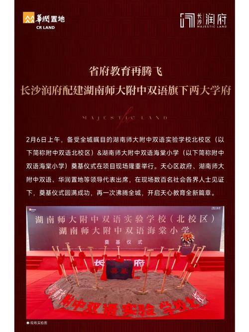 长沙公司打造专业网站，助力企业腾飞新篇章 长沙公司打造专业网站，助力企业腾飞新篇章 神马SEO