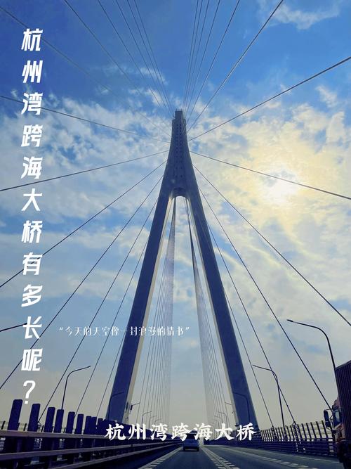 门户网站,信息时代的枢纽与桥梁 神马SEO 门户网站,信息时代的枢纽与桥梁 门户网站,信息时代的枢纽与桥梁 神马SEO