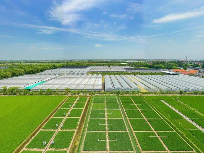 阿荣旗,绿色发展引领乡村振兴新篇章 网站建设公司 阿荣旗,绿色发展引领乡村振兴新篇章 阿荣旗,绿色发展引领乡村振兴新篇章 网站建设公司