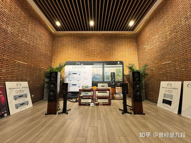 音响设计,打造沉浸式听觉盛宴的艺术之旅 音响设计,打造沉浸式听觉盛宴的艺术之旅 网站建设公司