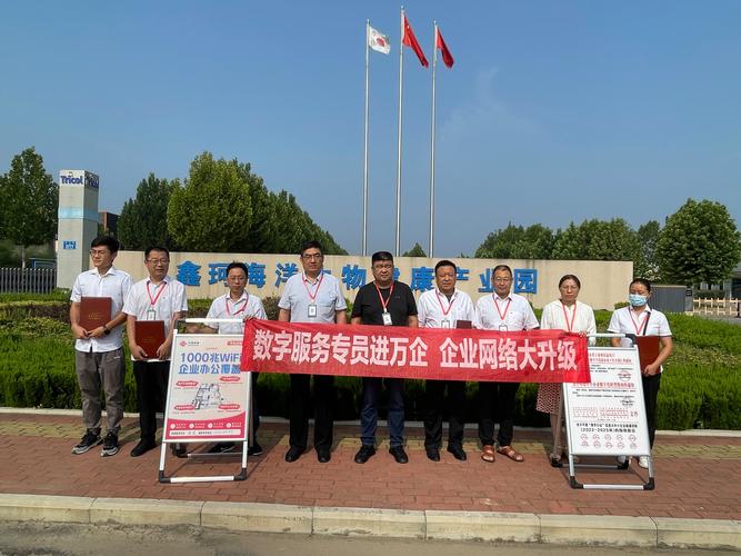 临邑县网站搭建,数字化转型的先锋力量 神马SEO 临邑县网站搭建,数字化转型的先锋力量 临邑县网站搭建,数字化转型的先锋力量 神马SEO