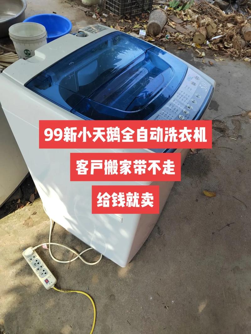 小天鹅C5,科技赋能下的家电新典范 必应SEO 小天鹅C5,科技赋能下的家电新典范 小天鹅C5,科技赋能下的家电新典范 必应SEO