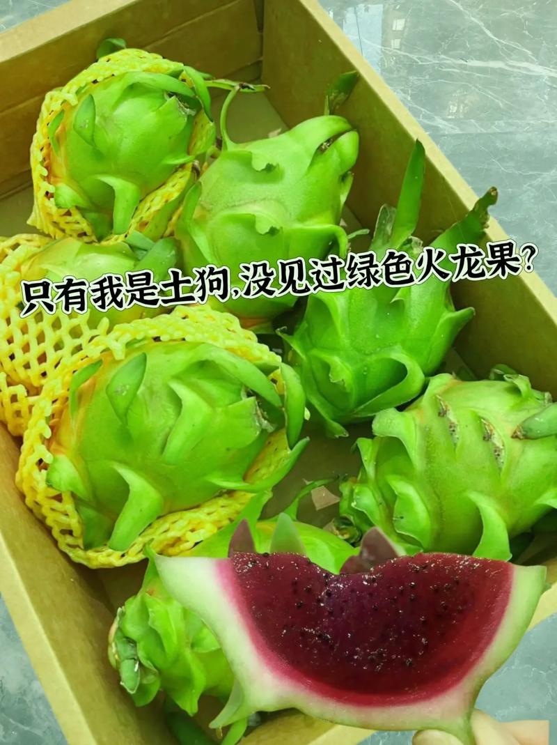 火龙果网站,打造绿色健康生活方式的线上平台 神马SEO 火龙果网站,打造绿色健康生活方式的线上平台 火龙果网站,打造绿色健康生活方式的线上平台 神马SEO