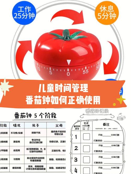 番茄小程序,高效时间管理的智能助手 必应SEO 番茄小程序,高效时间管理的智能助手 番茄小程序,高效时间管理的智能助手 必应SEO
