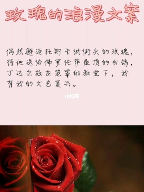 程序代码6背后的表白奥秘,人工智能的浪漫邂逅 必应SEO 程序代码6背后的表白奥秘,人工智能的浪漫邂逅 程序代码6背后的表白奥秘,人工智能的浪漫邂逅 必应SEO