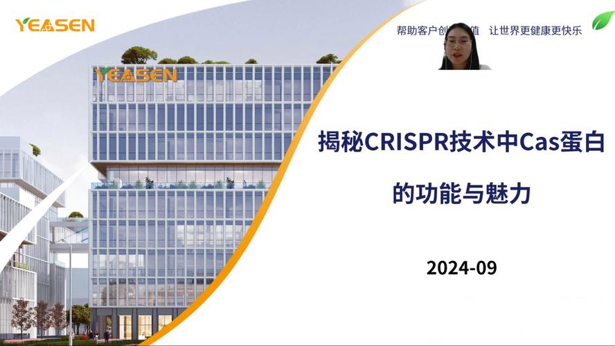 浅析JSP四则运算,技术魅力与实际应用 浅析JSP四则运算,技术魅力与实际应用 网站建设公司