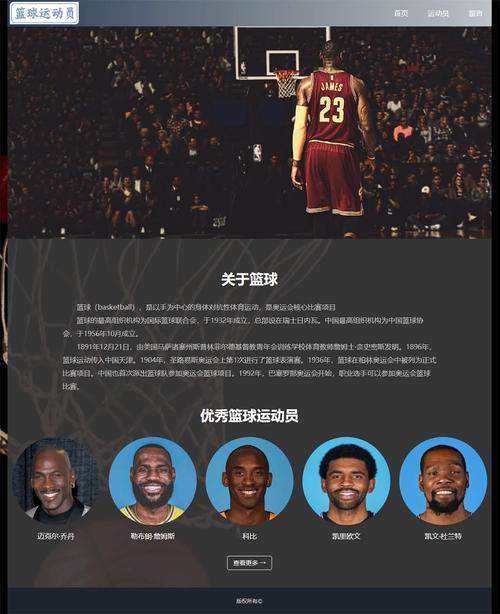 篮球JSP网站,构建篮球爱好者的信息平台 篮球JSP网站,构建篮球爱好者的信息平台 必应SEO