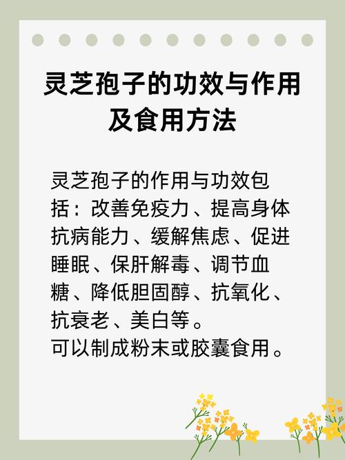 介绍灵芝网站设计方法,打造健康生活新平台 必应SEO 介绍灵芝网站设计方法,打造健康生活新平台 介绍灵芝网站设计方法,打造健康生活新平台 必应SEO