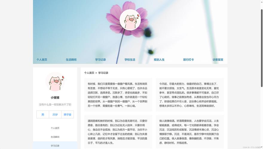 打造适合学生的理想网站,设计理念与实现步骤 打造适合学生的理想网站,设计理念与实现步骤 SEO关键词