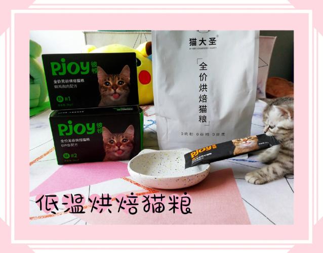 探寻悉尼猫粮,为猫咪打造健康美味的饮食之路 必应SEO 探寻悉尼猫粮,为猫咪打造健康美味的饮食之路 探寻悉尼猫粮,为猫咪打造健康美味的饮食之路 必应SEO
