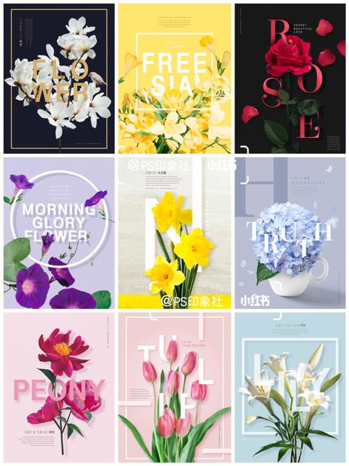 绽放创意,拥抱自然_鲜花海报网站设计美学探析 百度SEO 绽放创意,拥抱自然_鲜花海报网站设计美学探析 绽放创意,拥抱自然_鲜花海报网站设计美学探析 百度SEO